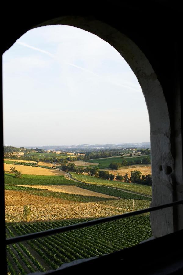 Chateau De Salettes Cahuzac-sur-Vère Екстериор снимка