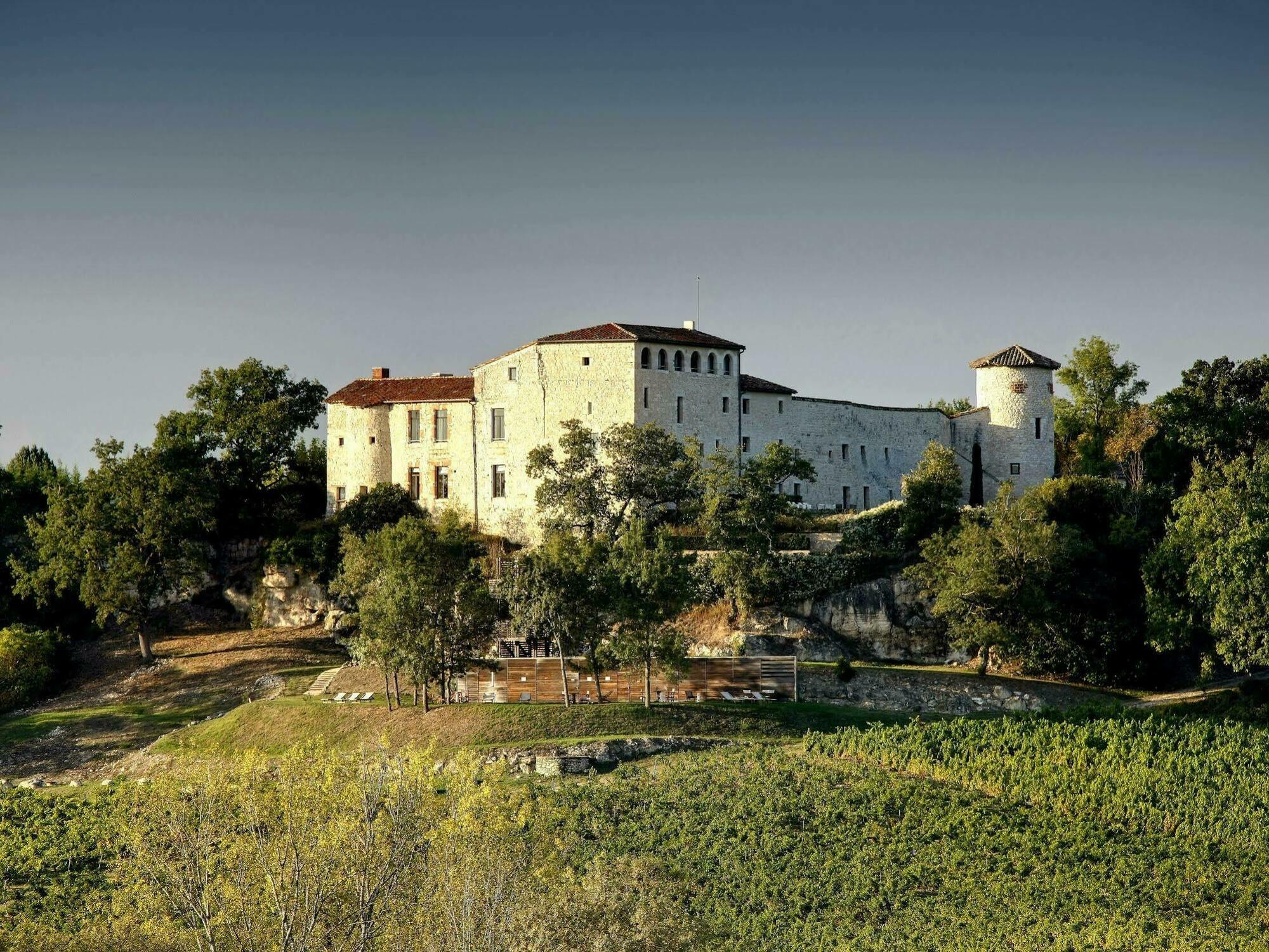 Chateau De Salettes Cahuzac-sur-Vère Екстериор снимка