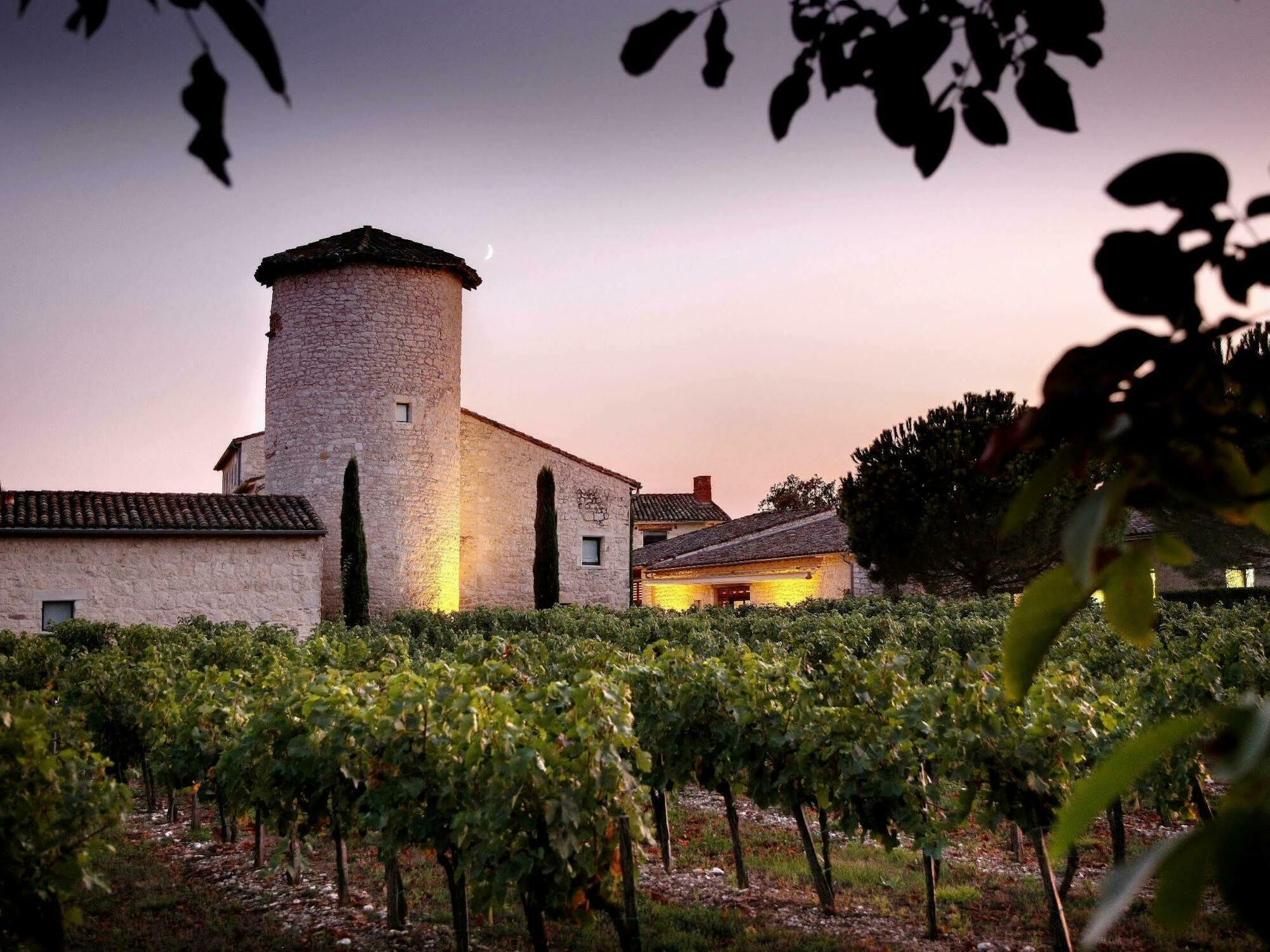 Chateau De Salettes Cahuzac-sur-Vère Екстериор снимка
